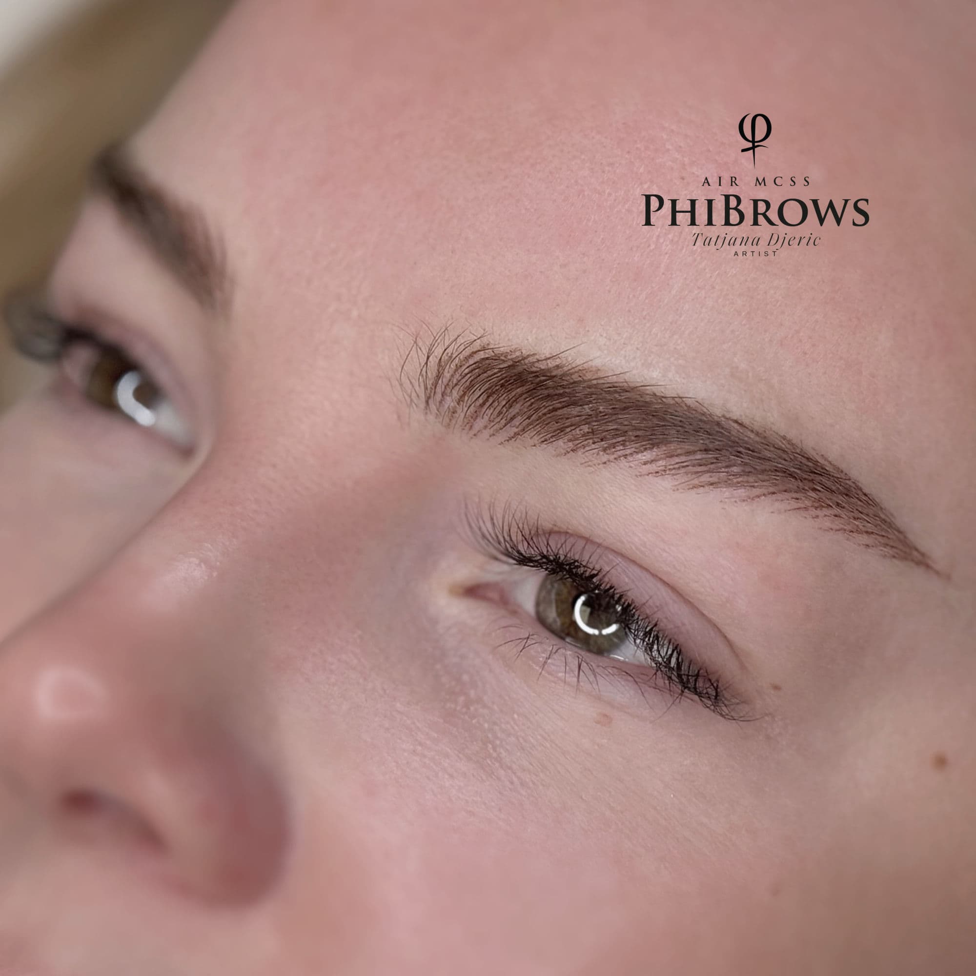 Nano hairstrokes close-up result — AirBrows technique, Oslo